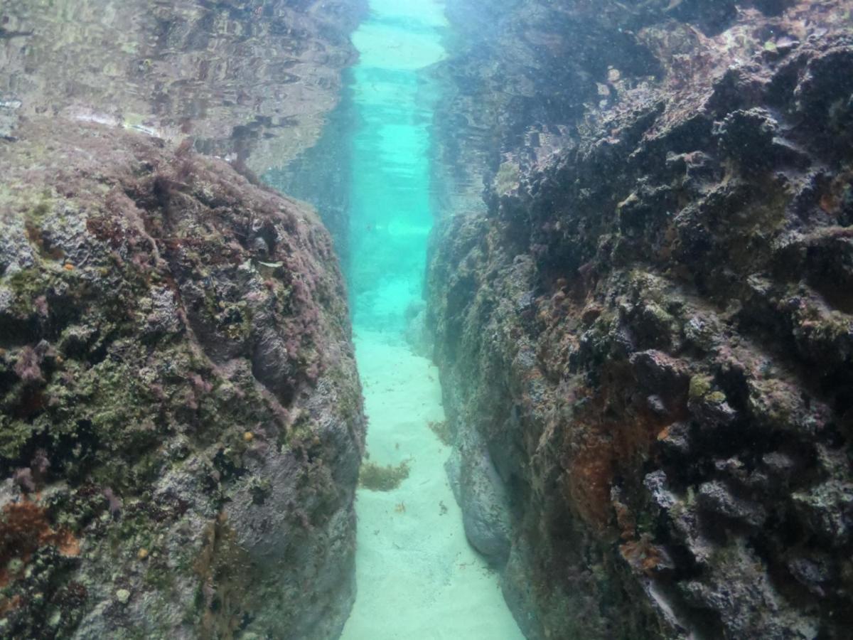 Pousada Flôr do Atlântico Fernando de Noronha Exterior foto